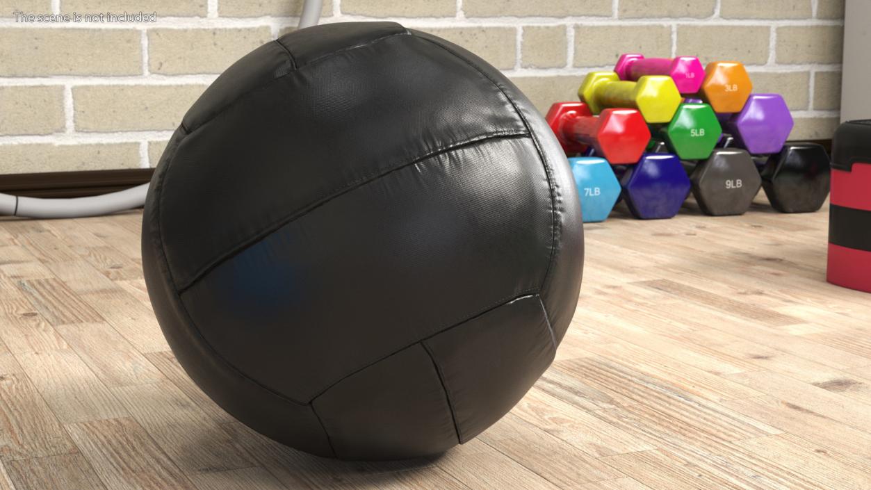 20 LB Fitness Medicine Ball 3D