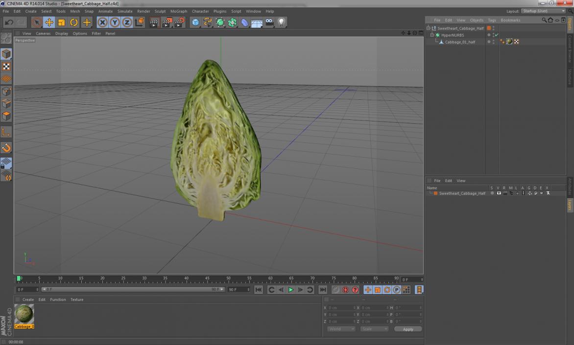 3D Sweetheart Cabbage Half model