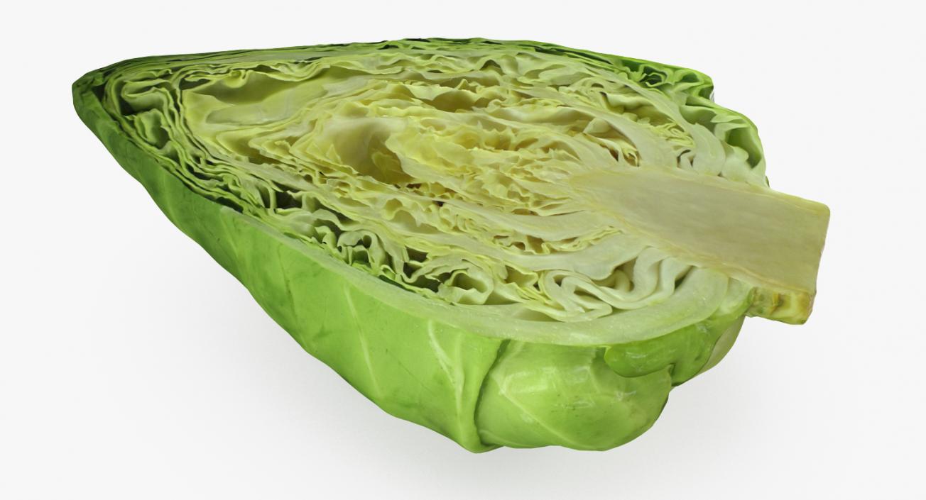 3D Sweetheart Cabbage Half model