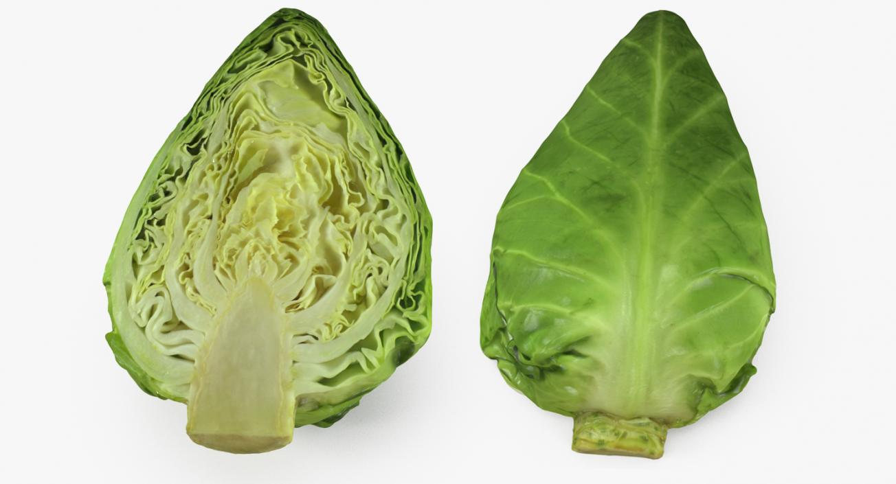 3D Sweetheart Cabbage Half model