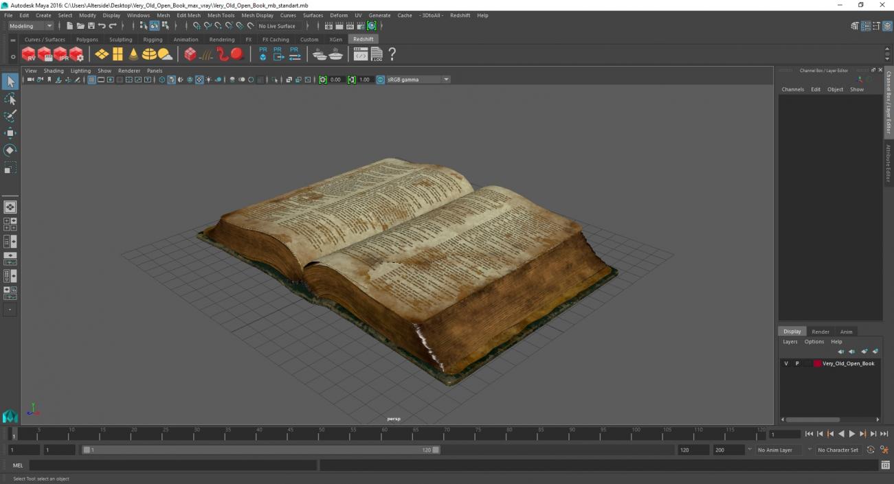 3D Very Old Open Book model