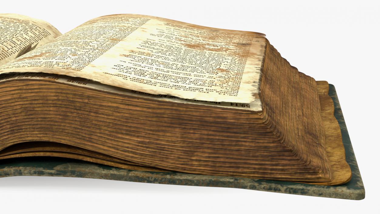 3D Very Old Open Book model