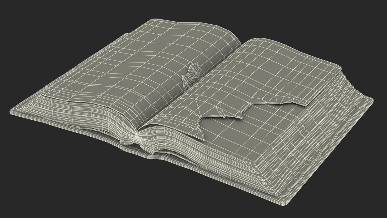 3D Very Old Open Book model