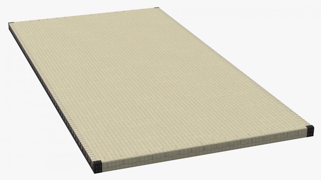 Traditional Tatami Straw Matress 3D