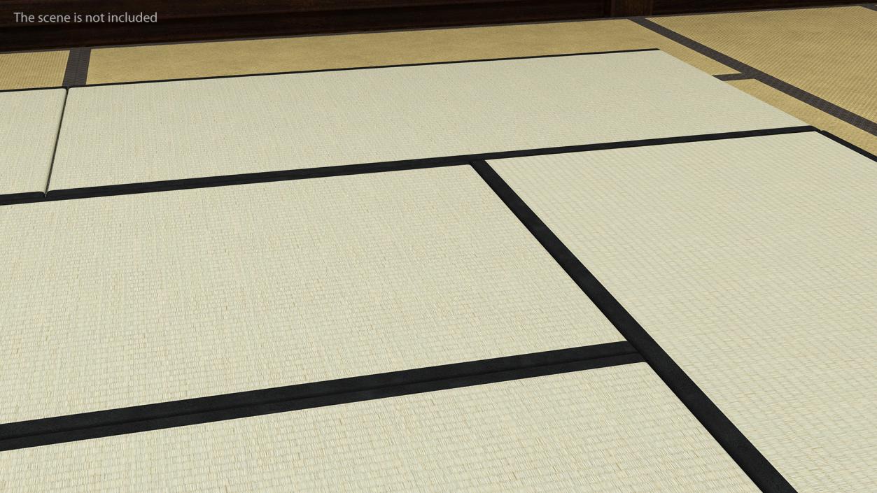 Traditional Tatami Straw Matress 3D