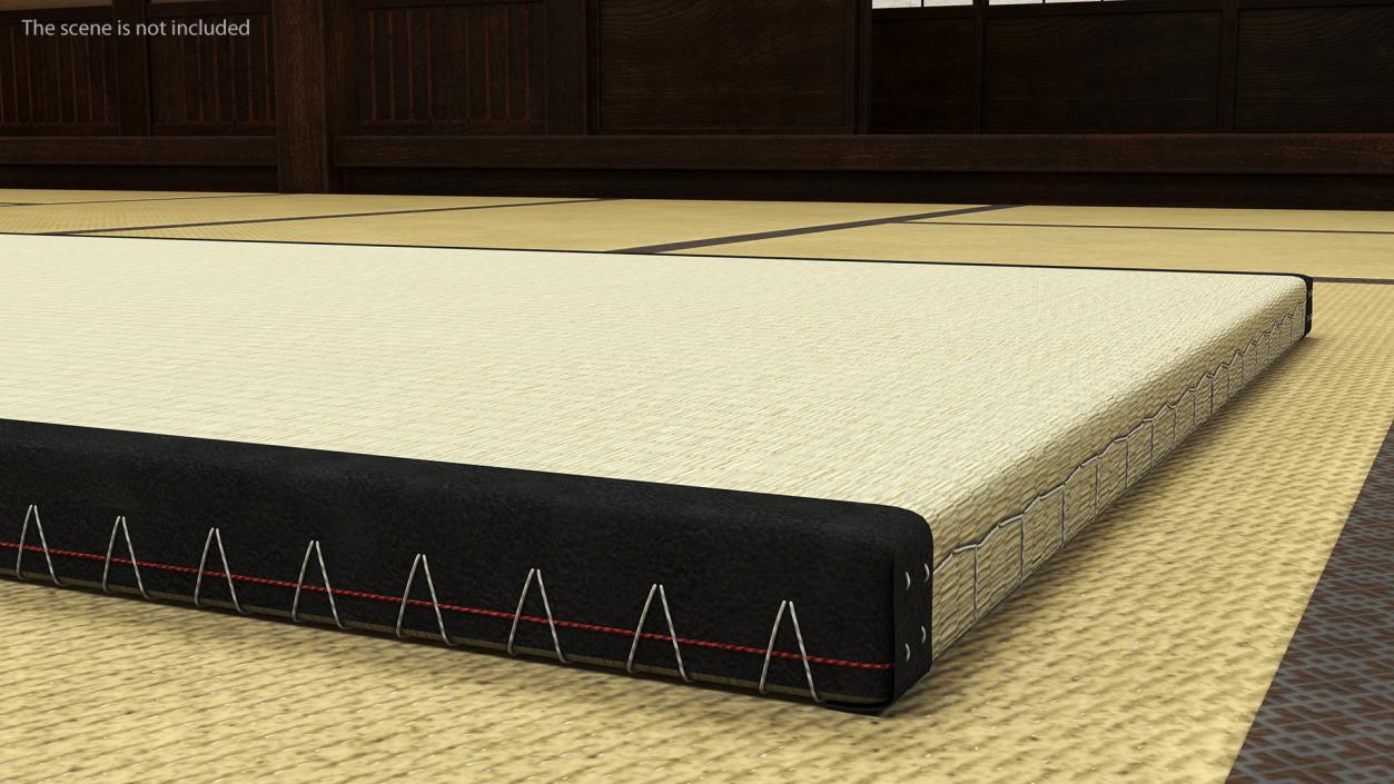 Traditional Tatami Straw Matress 3D