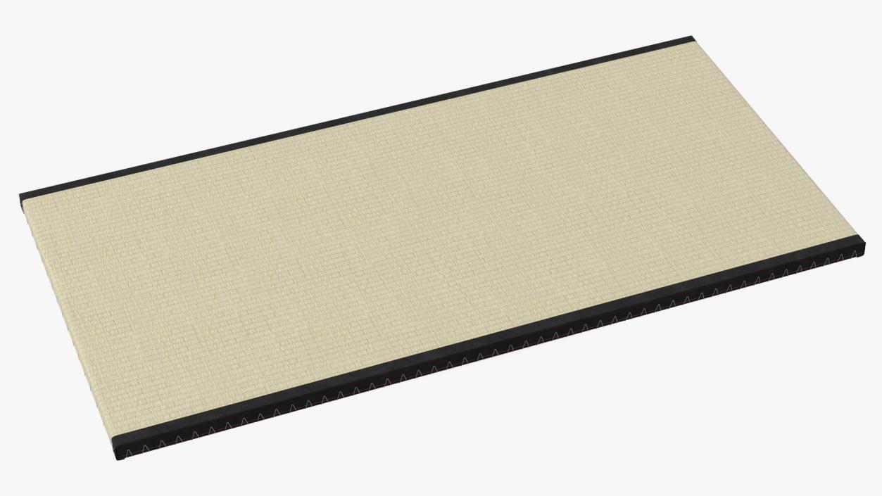 Traditional Tatami Straw Matress 3D