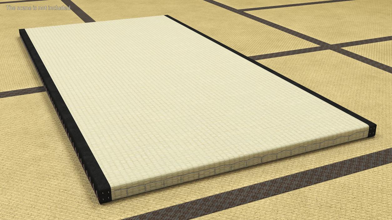 Traditional Tatami Straw Matress 3D