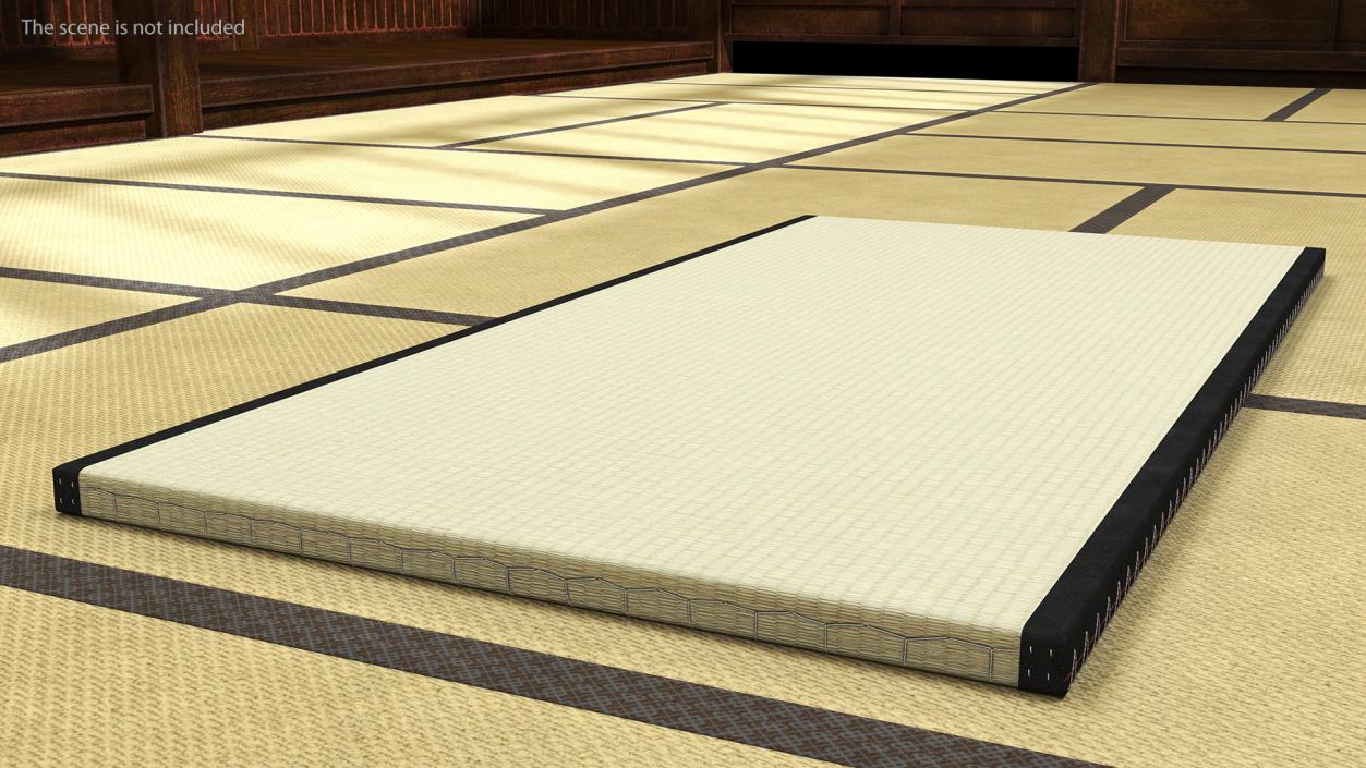 Traditional Tatami Straw Matress 3D