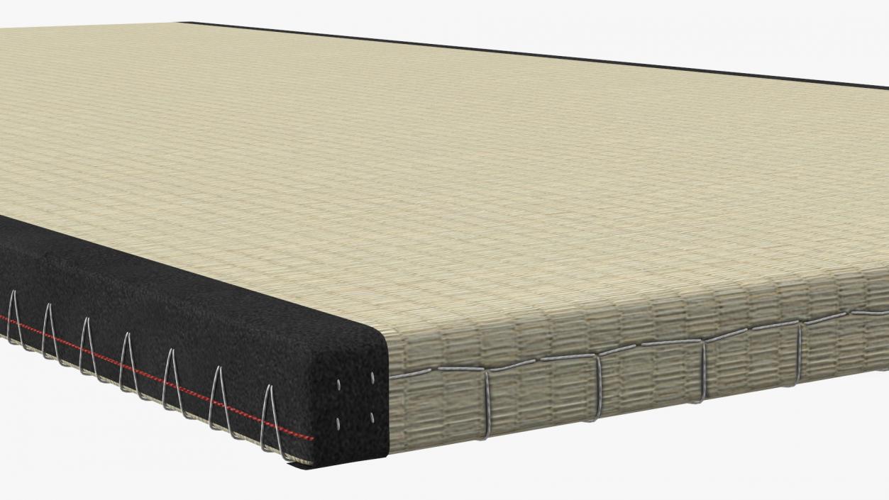 Traditional Tatami Straw Matress 3D