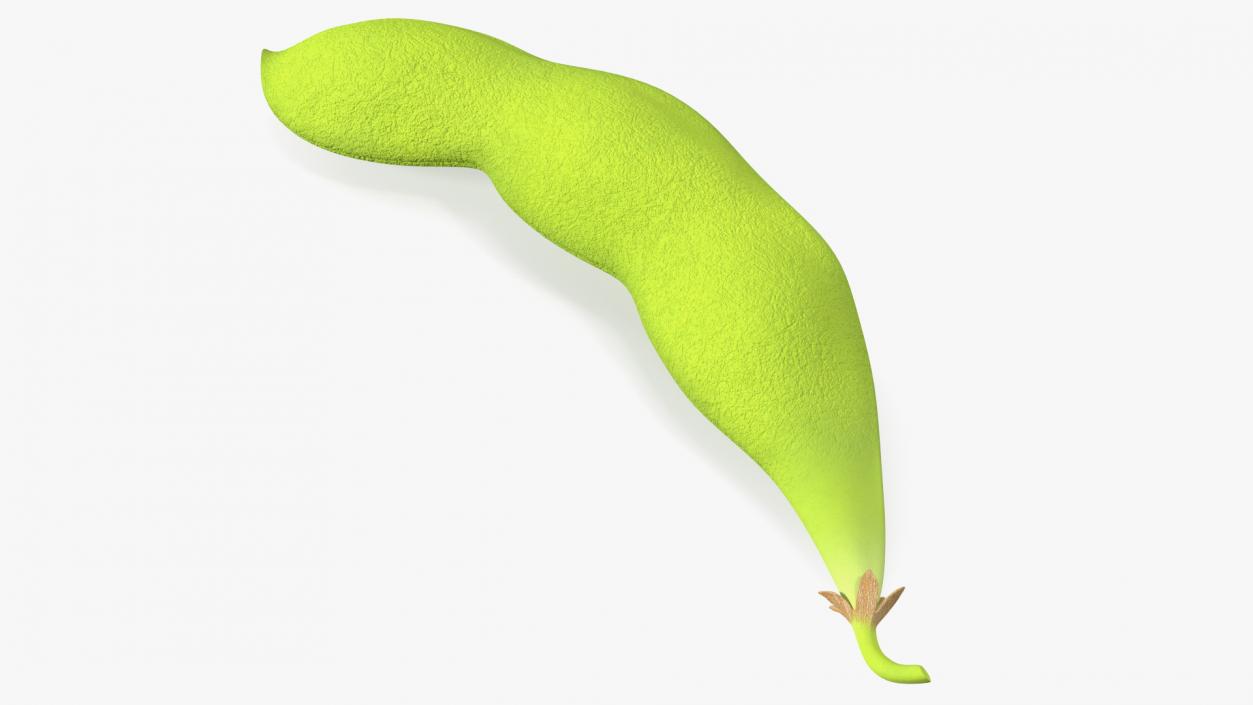 Green Soybean Pod 3D