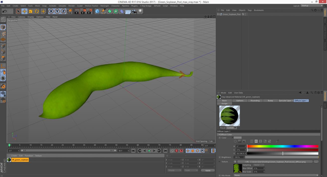 Green Soybean Pod 3D