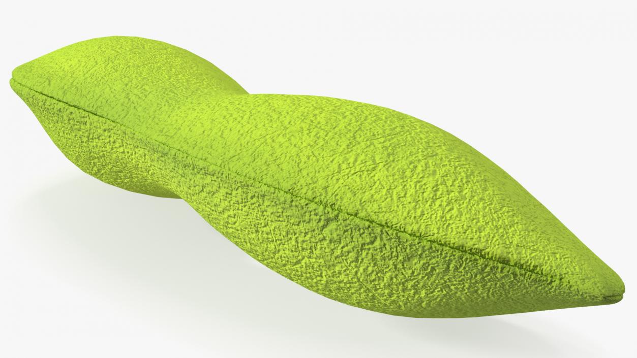 Green Soybean Pod 3D