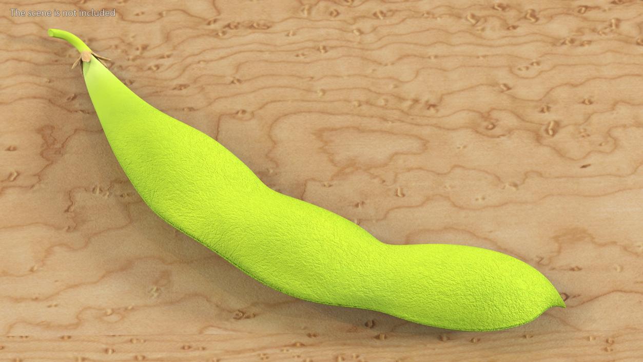 Green Soybean Pod 3D