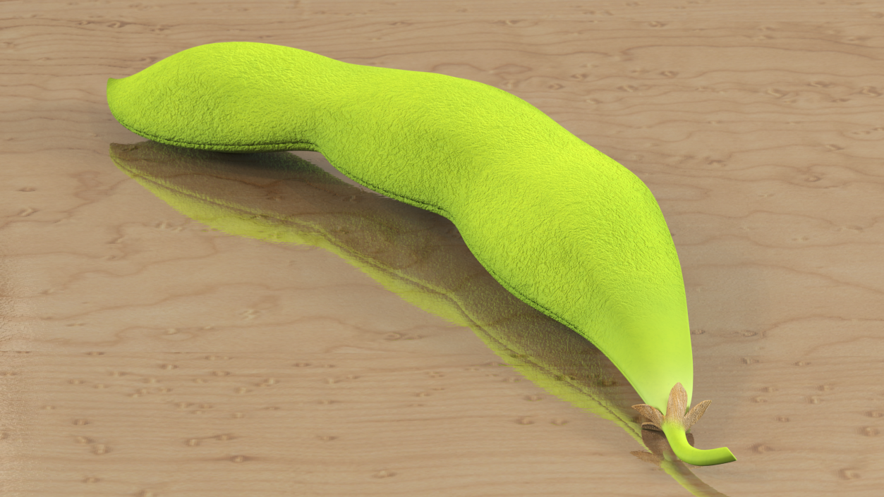 Green Soybean Pod 3D