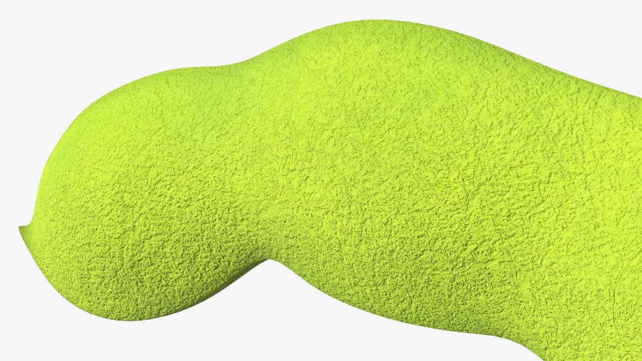 Green Soybean Pod 3D