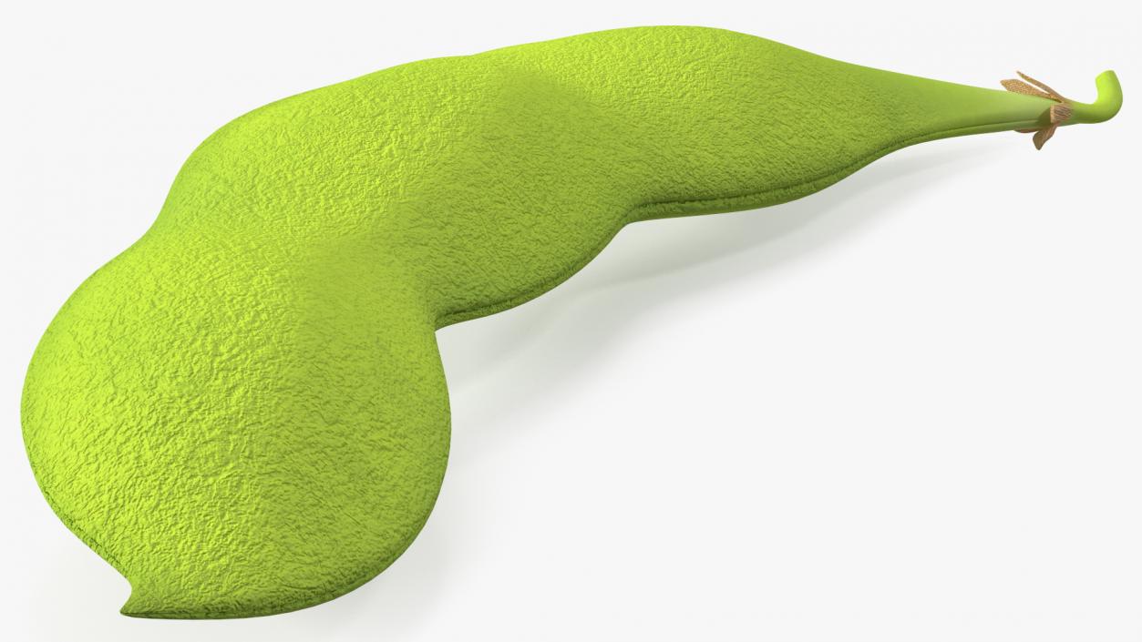 Green Soybean Pod 3D