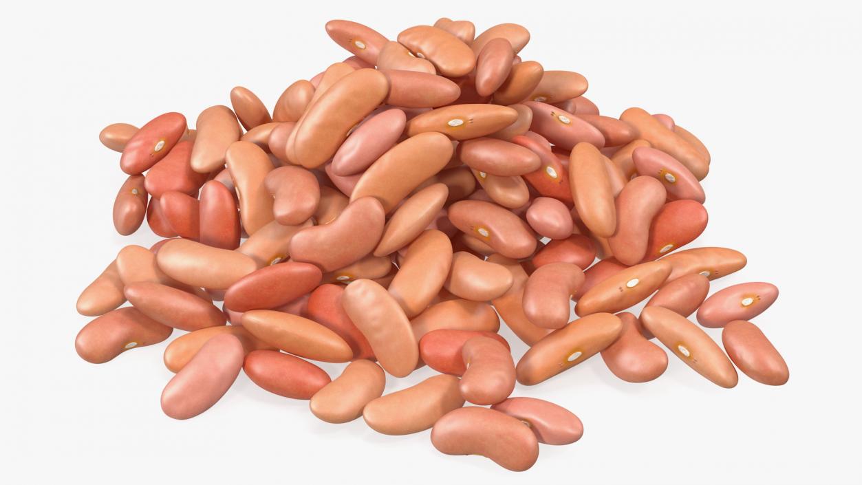 3D model Pile of Light Red Kidney Beans