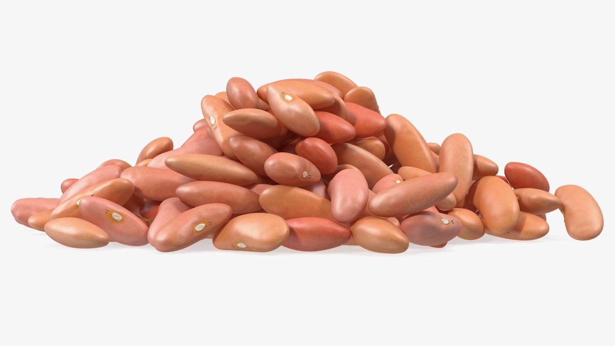 3D model Pile of Light Red Kidney Beans