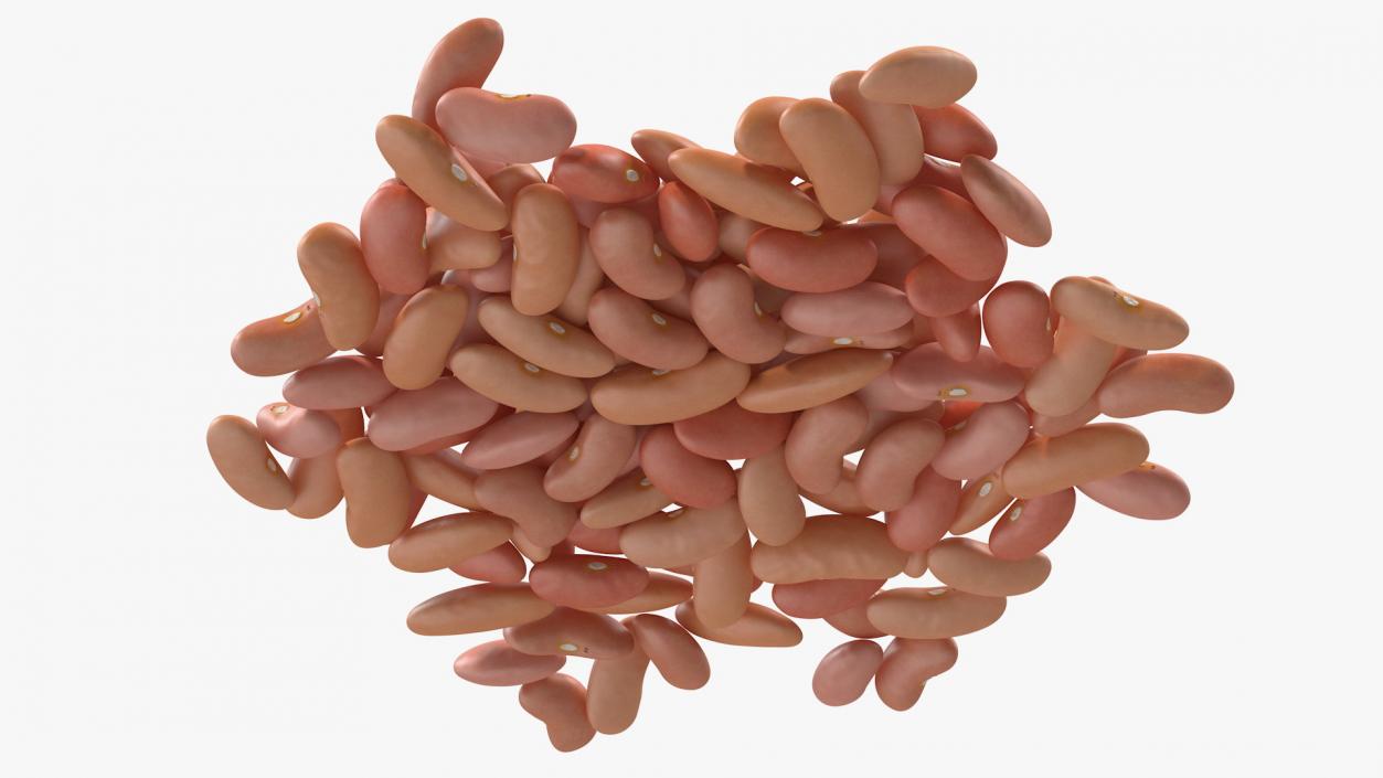 3D model Pile of Light Red Kidney Beans