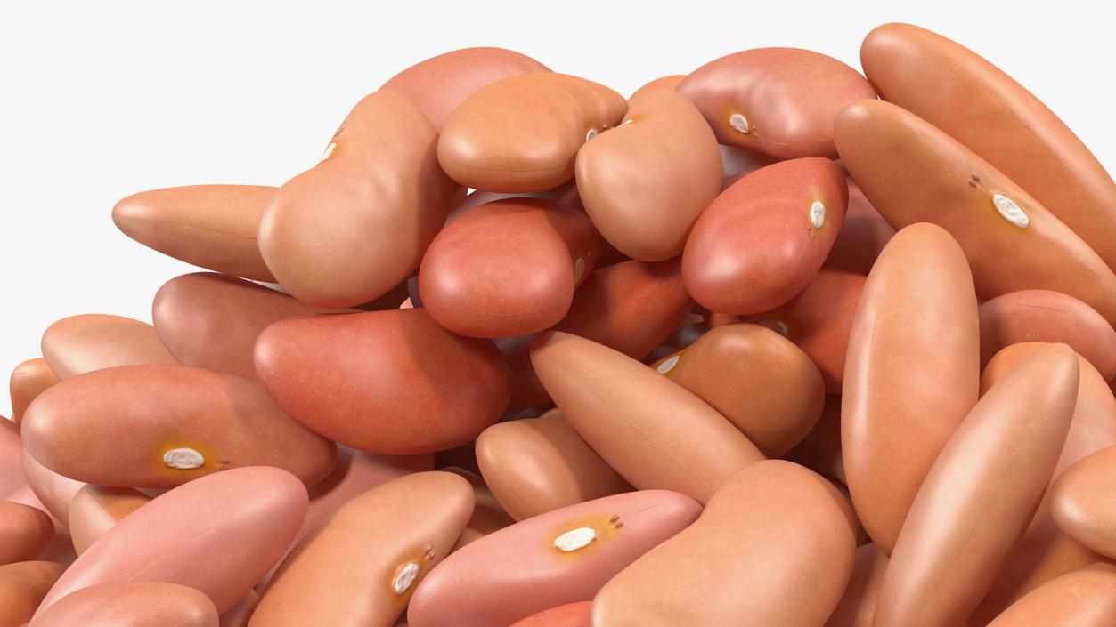 3D model Pile of Light Red Kidney Beans