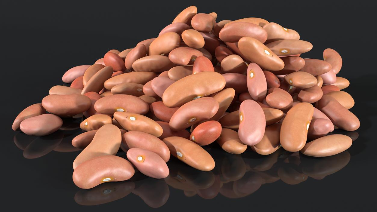 3D model Pile of Light Red Kidney Beans