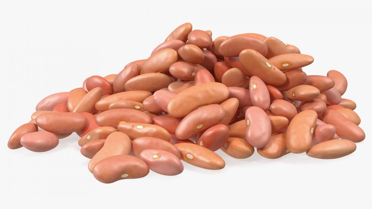 3D model Pile of Light Red Kidney Beans