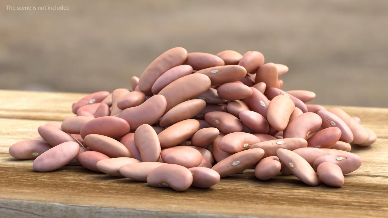 3D model Pile of Light Red Kidney Beans