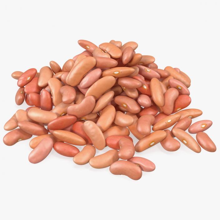 3D model Pile of Light Red Kidney Beans