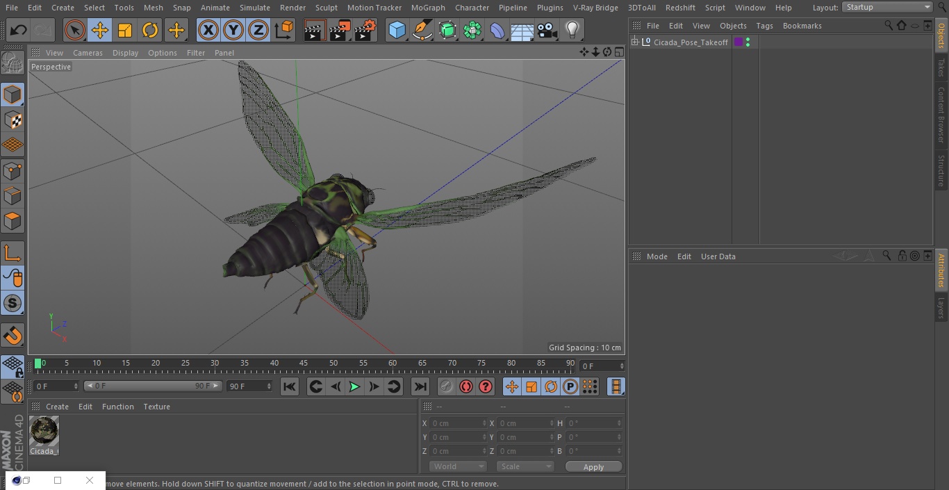 Cicada Pose Takeoff 3D model