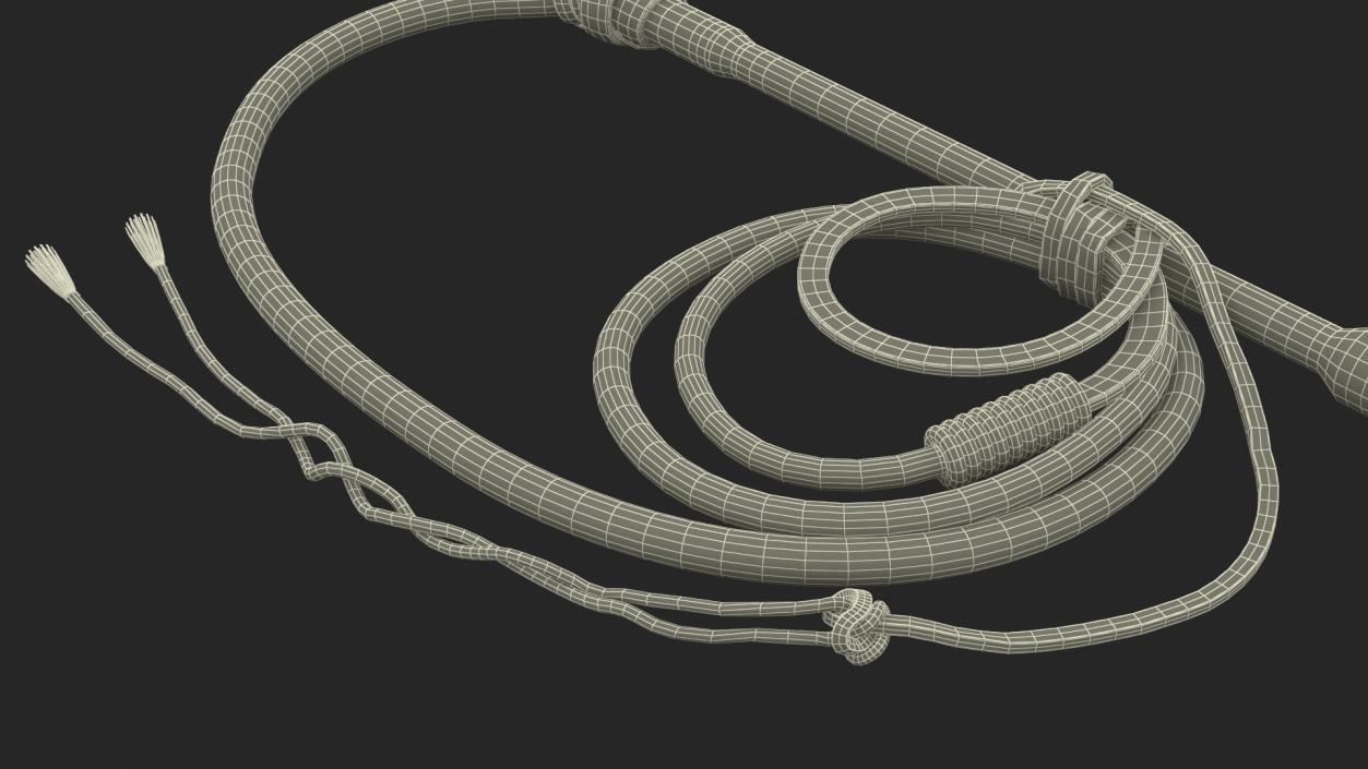 Leather Whip Coiled Brown Rigged 2 3D model