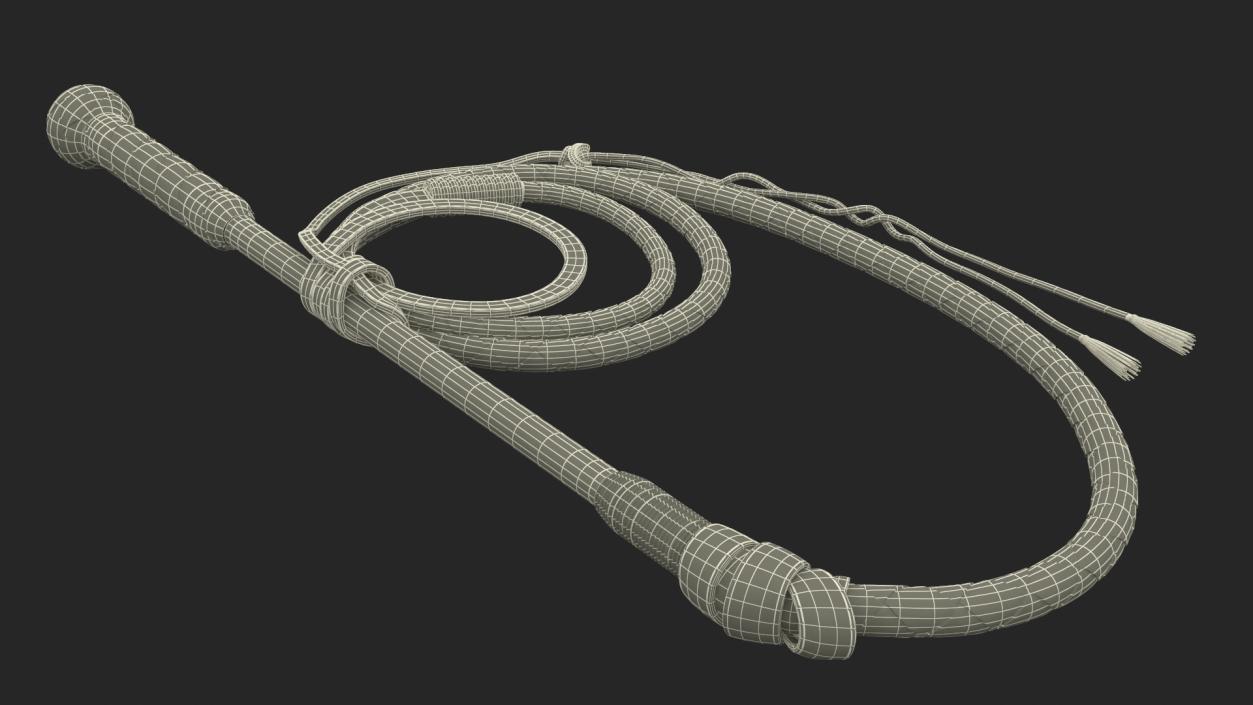 Leather Whip Coiled Brown Rigged 2 3D model