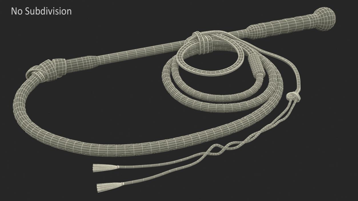 Leather Whip Coiled Brown Rigged 2 3D model