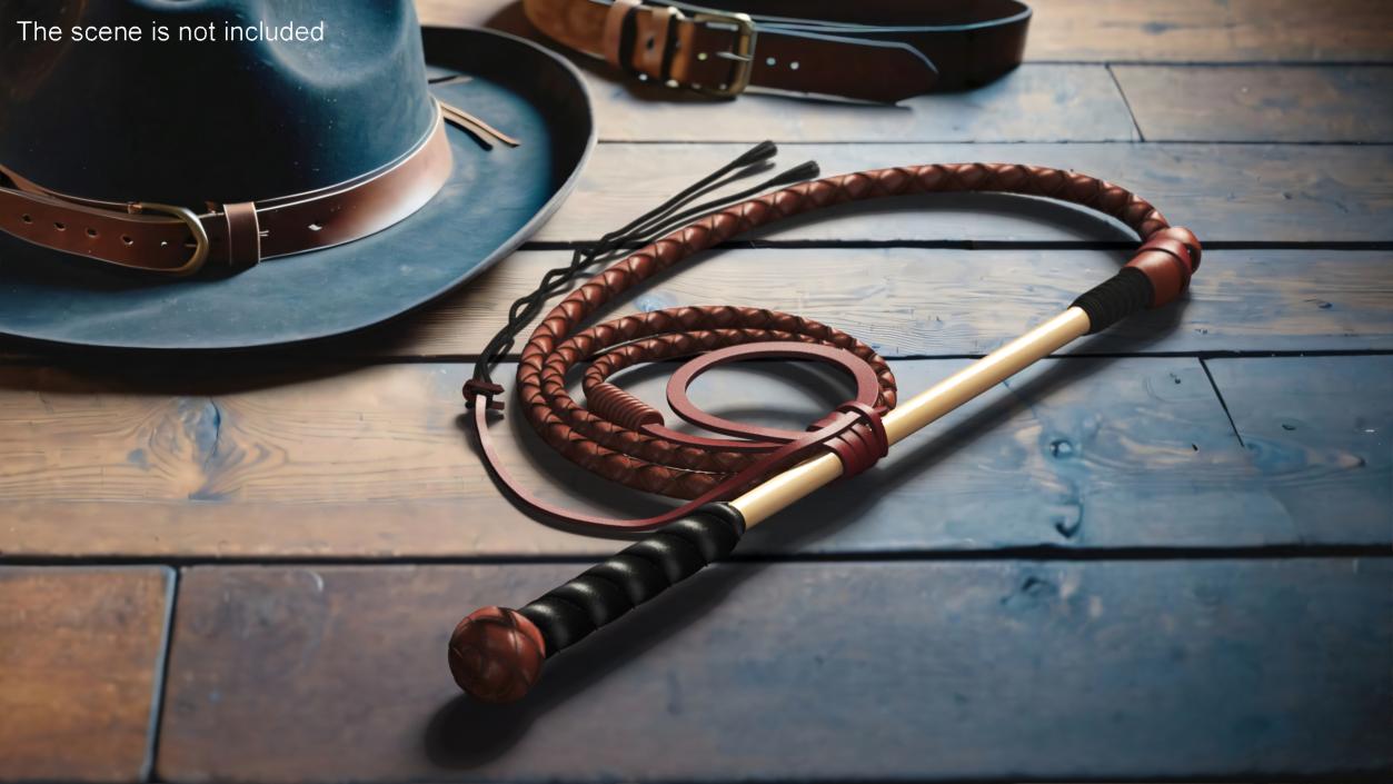 Leather Whip Coiled Brown Rigged 2 3D model