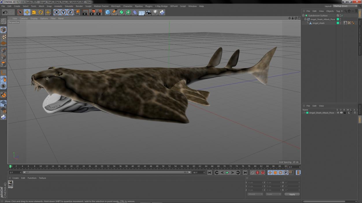 3D Angel Shark Attack Pose model