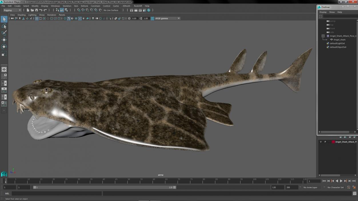 3D Angel Shark Attack Pose model