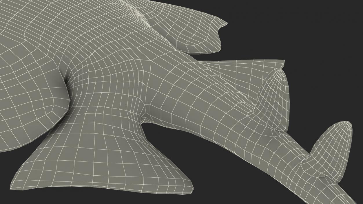 3D Angel Shark Attack Pose model