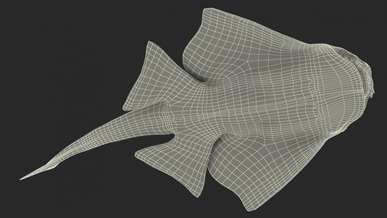 3D Angel Shark Attack Pose model