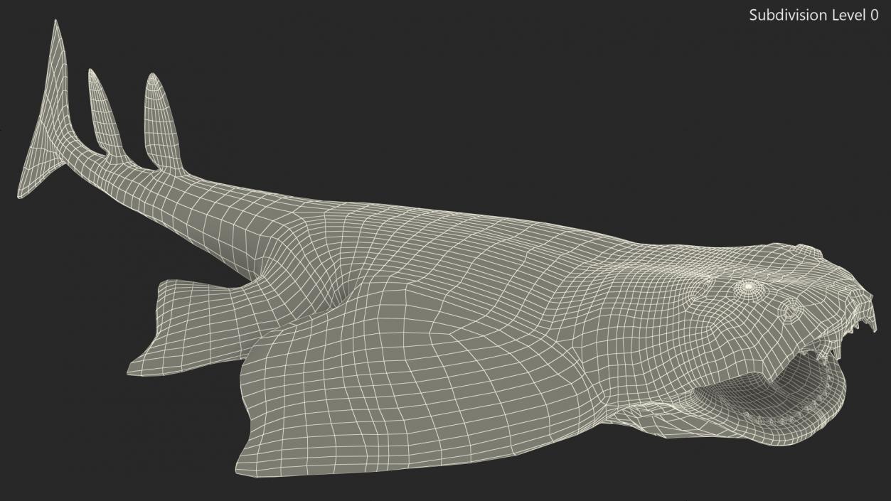 3D Angel Shark Attack Pose model