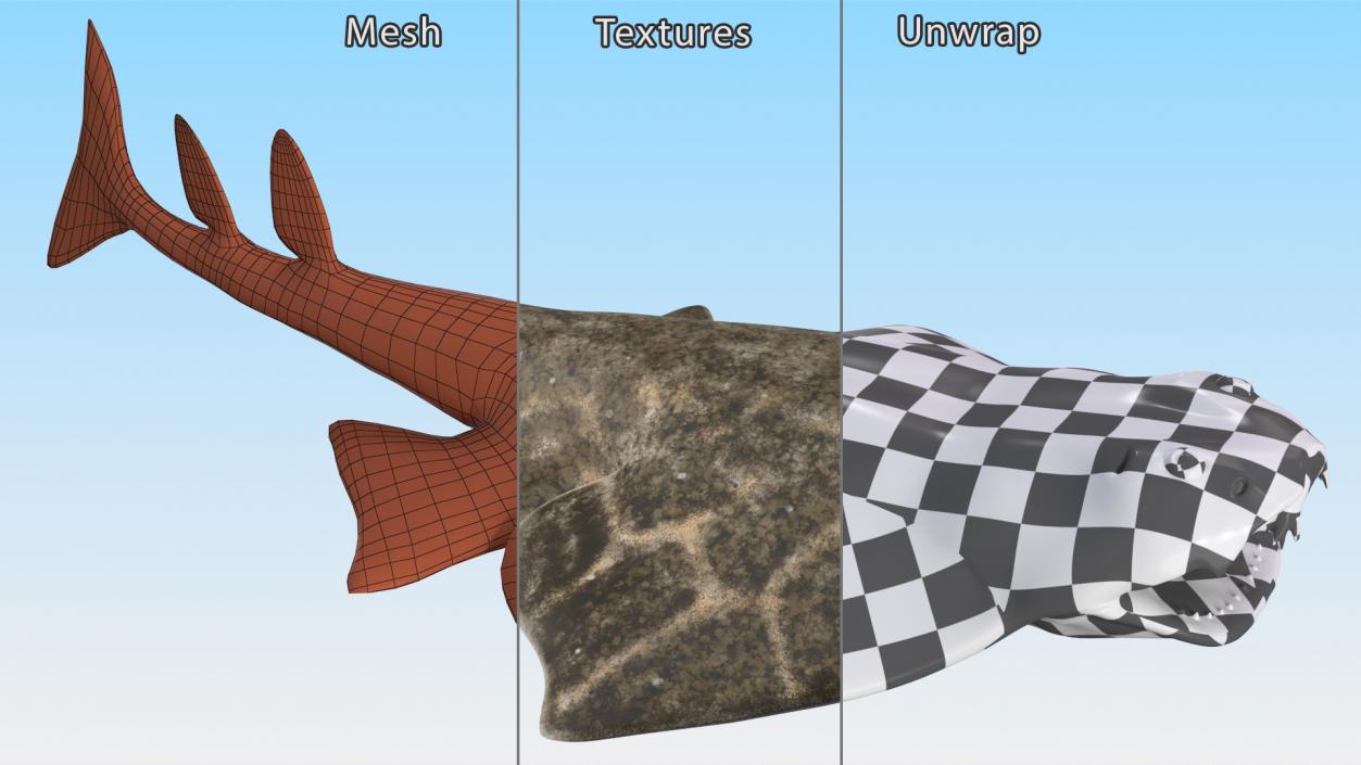 3D Angel Shark Attack Pose model