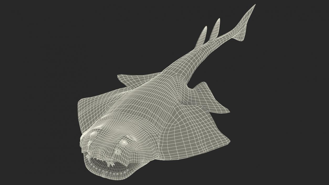 3D Angel Shark Attack Pose model