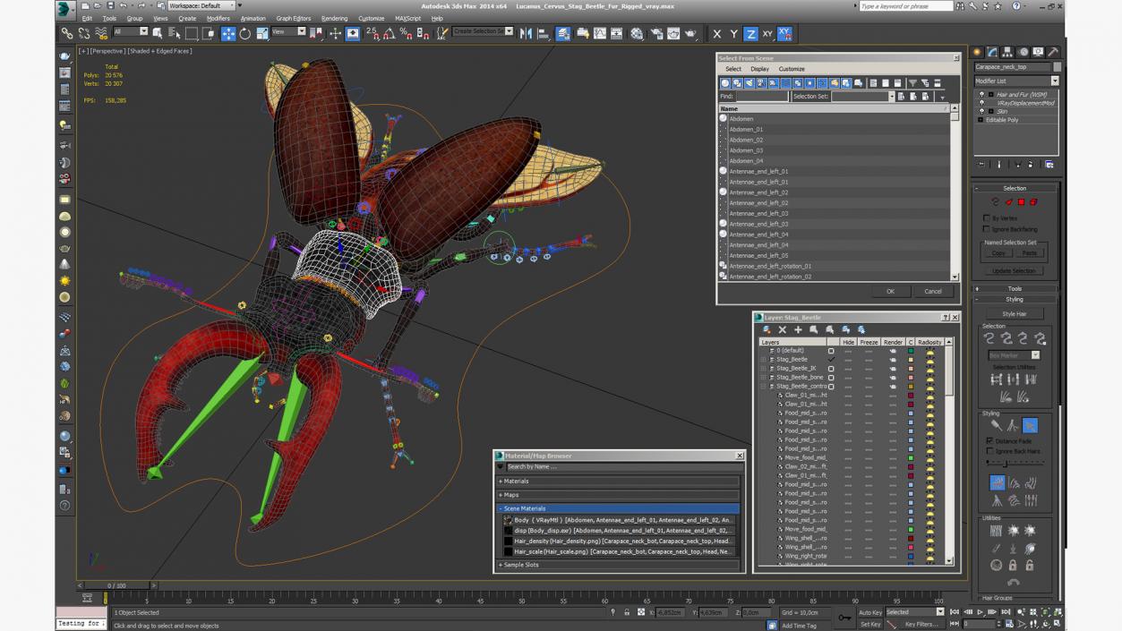 Lucanus Cervus Stag Beetle Fur Rigged 3D