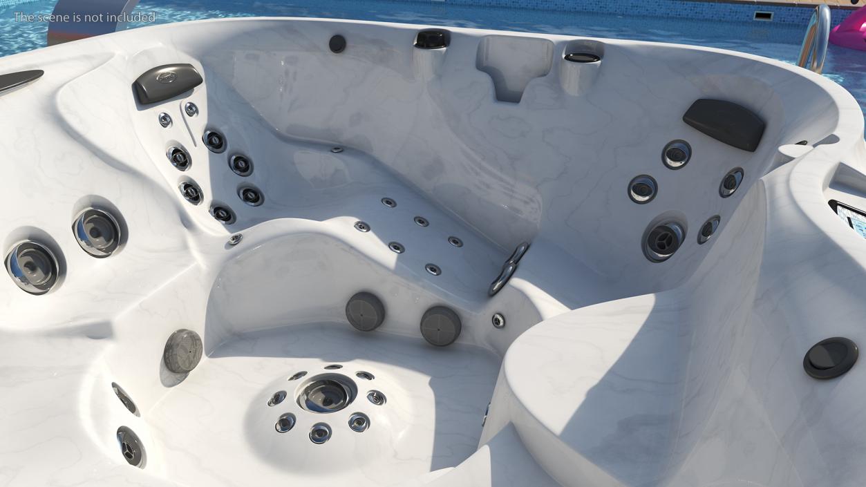 3D Jacuzzi J475 Spa Hot Tub Platinum model