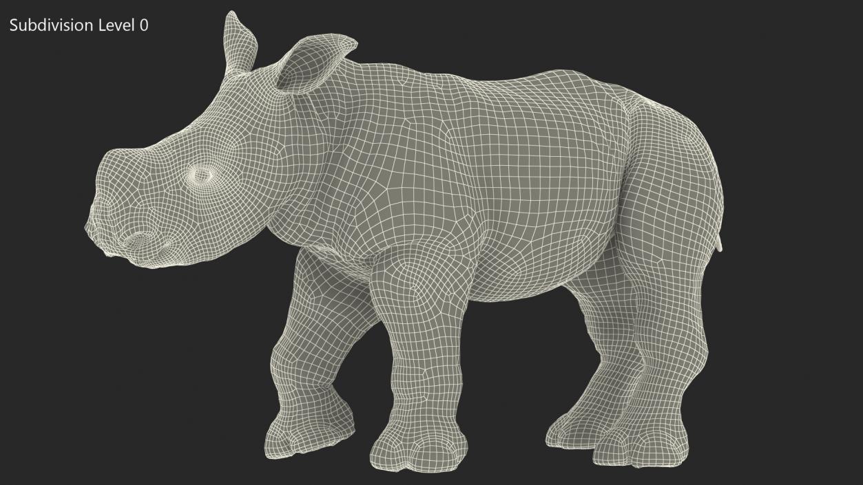 3D Baby Rhino Fur Rigged