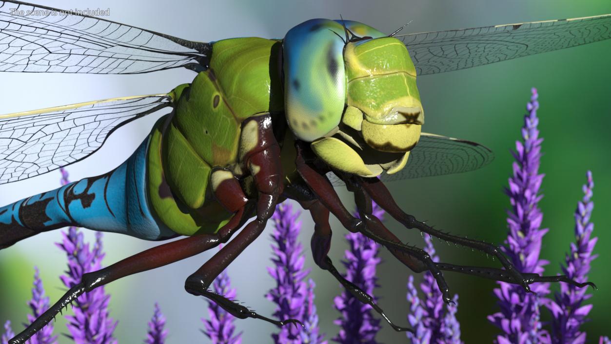 Rigged Flying Insects Collection 3 3D model