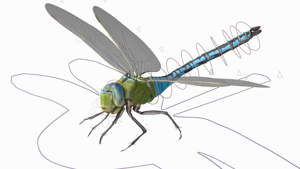 Rigged Flying Insects Collection 3 3D model