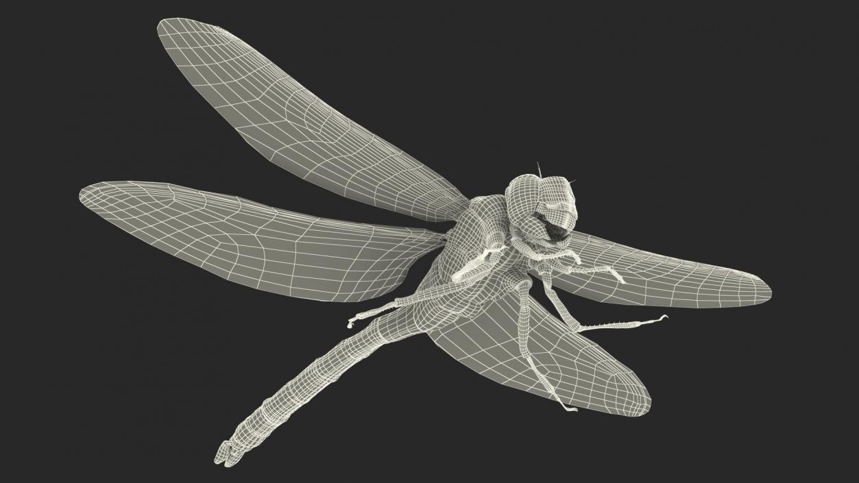 Rigged Flying Insects Collection 3 3D model