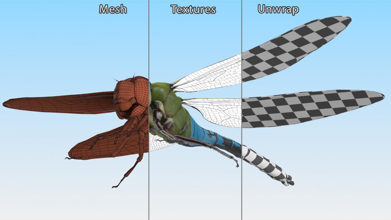 Rigged Flying Insects Collection 3 3D model