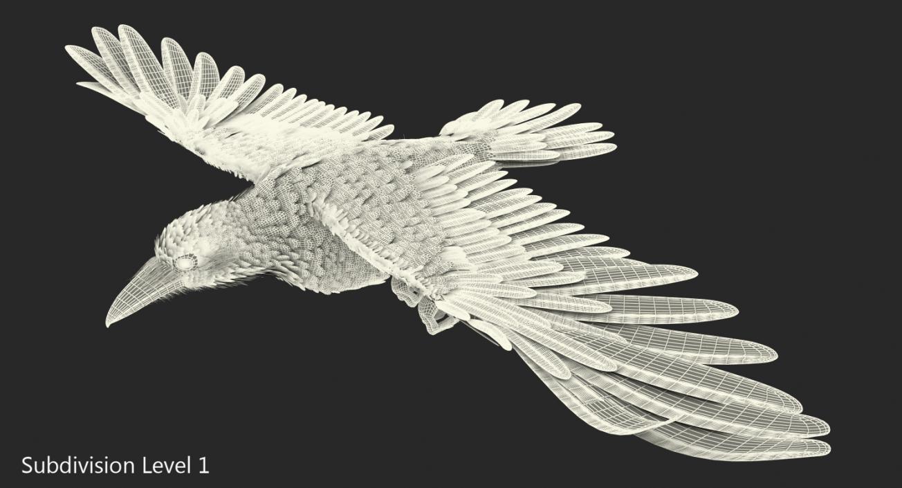 Common Raven Soars Animated Rigged 3D model