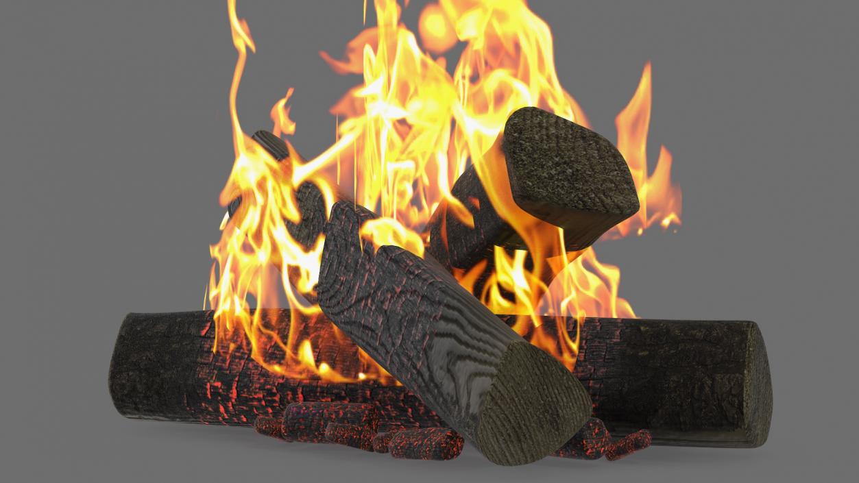 3D model Bonfire Burning